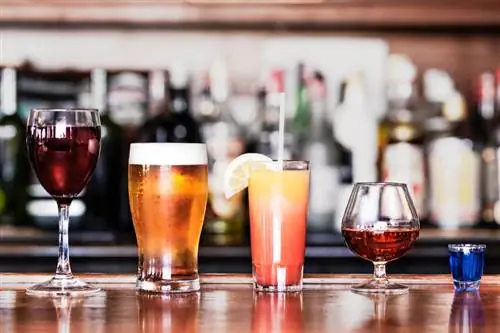 Các loại ly cocktail: Hướng dẫn dễ dàng về những điều cần thiết