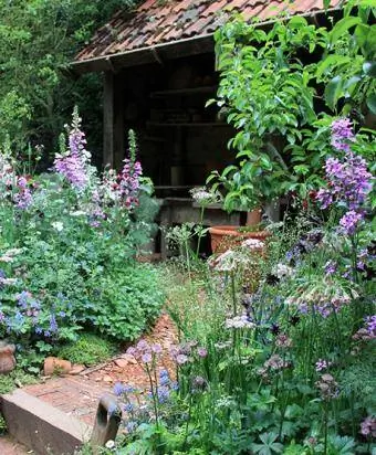 Chata zahrada s náprstníkem a Delphinium