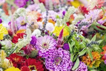 Flores de verano frescas cortadas en exhibición en un mercado de agricultores