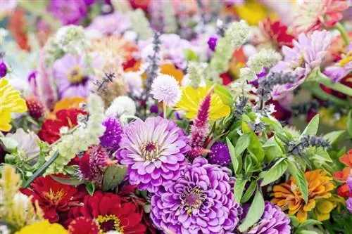 45 καλοκαιρινά λουλούδια που ζαλίζουν με τον ήλιο