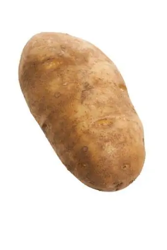 Mooi uitziende roodbruine aardappel