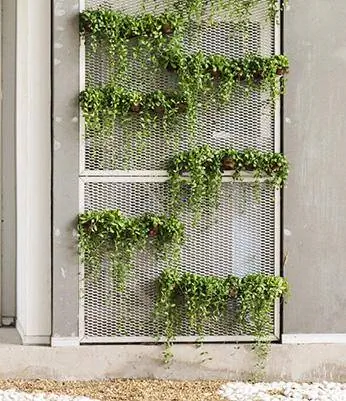 Vertical Garden Ideas