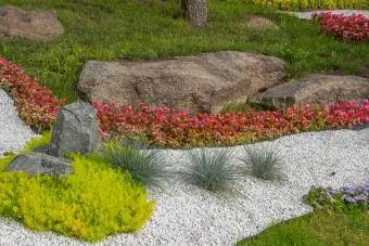 rock vrt sa biljkama