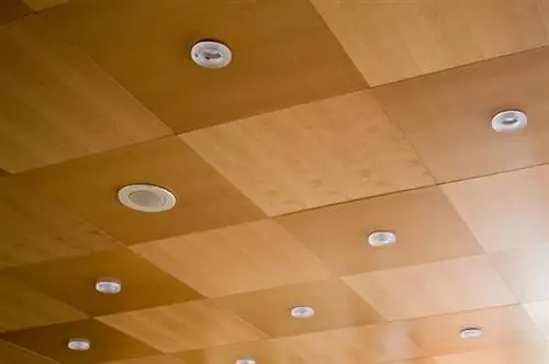 Llojet e pllakave të tavanit