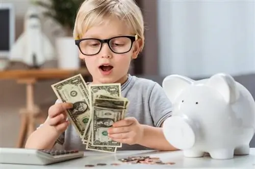 15 მარტივი გზა ბავშვებისთვის, რათა ფული სწრაფად გამოიმუშაონ
