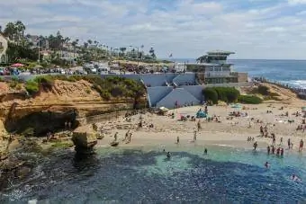 San Diego Kaliforniya'daki La Jolla Koyu