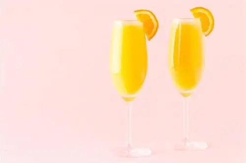 Mimozos gėrimo receptas: elegantiškas mėgstamiausias + paprasti posūkiai