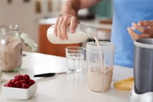 5 מתכונים קלים של שייק חלבון חלב שקדים