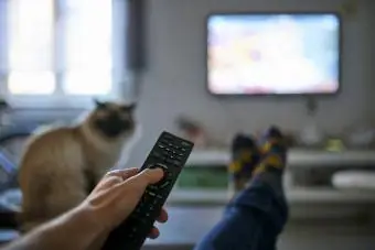 Mano del hombre apuntando con el control remoto a la pantalla del televisor