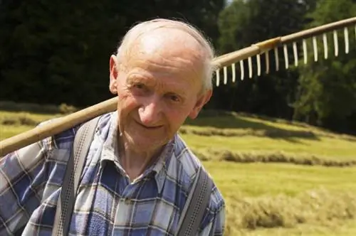 Антични гребла за сено: от ръчни инструменти до теглени от трактори