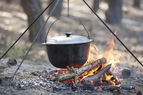 Boy Scout Mese de camping: Ușoare & Rețete delicioase