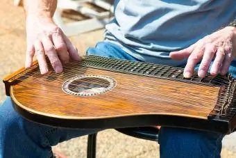 El hombre toca un Autoharp en espectáculo al aire libre