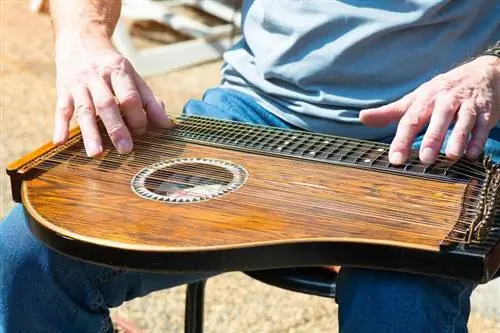 Antika mandolinharpor: Översikt över dessa unika instrument