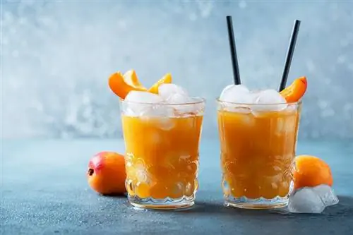 Fuzzy Navel Slush Recept: Chladivý a okouzlující nápoj