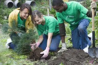 prostovoljci, ki sadijo drevo