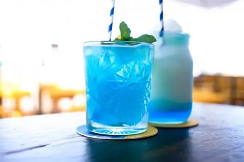 5 kokteje të shijshme blu Curaçao me rum + të ëmbla dhe të tharta