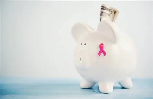 Kreatívne nápady na získavanie finančných prostriedkov proti rakovine