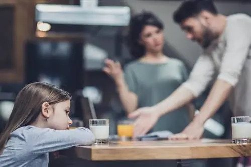 Classes de co-parents: escollir les millors opcions del programa