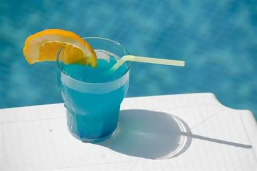 Curaçao bleu, noix de coco et rhum : des boissons riches en saveurs