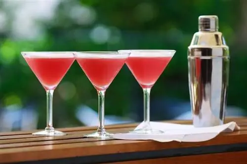 Grenadine en gin: luchtige cocktailrecepten