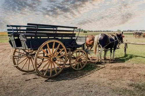 Cosa rende gli antichi carri agricoli così unici?