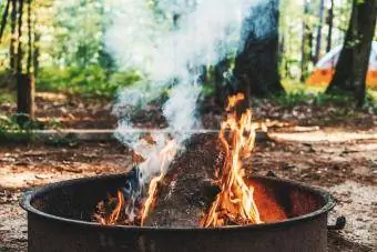 Zjarr kampi kundër pemëve në pyll
