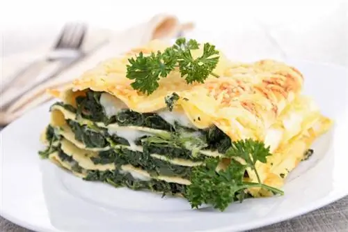 Rețete de lasagne vegetariene & Sfaturi pentru a găti ca un profesionist