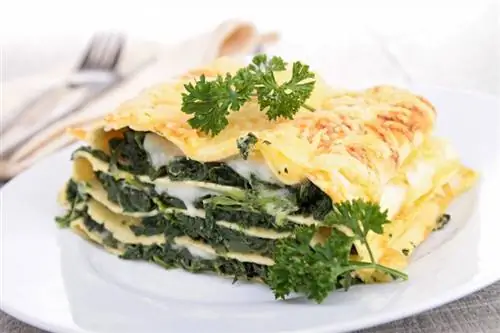 Công thức nấu món Lasagna chay & Mẹo nấu ăn chuyên nghiệp