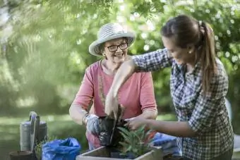 Kıdemli kadın ve genç kız birlikte bahçıvanlık yapıyor