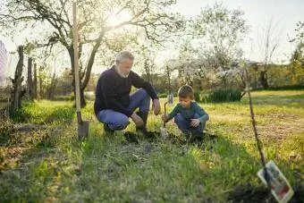 Nonno che guarda il nipote che pianta un albero