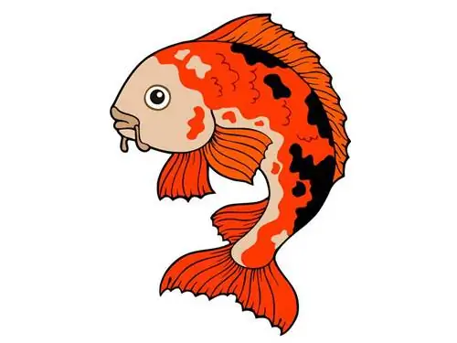 15 lindos desenhos de peixes Koi