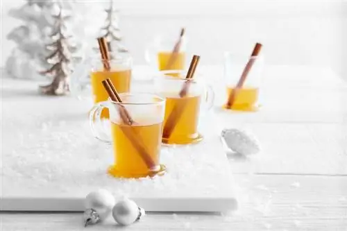 18 idee per cocktail invernali per riscaldarti al meglio