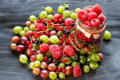 Popis različitih vrsta bobičastog voća