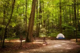 Instalación de tienda de campaña en un terreno para acampar rodeado de frondosos bosques.