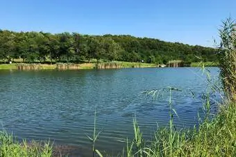 Lac de apă dulce