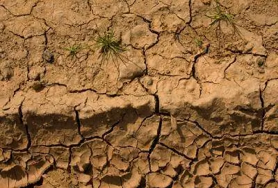 Efectos a largo plazo de la contaminación del suelo