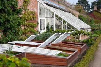 Greenhouse