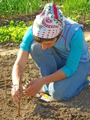 kvinna plantering i trädgården