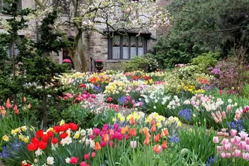 Blomster efter måned