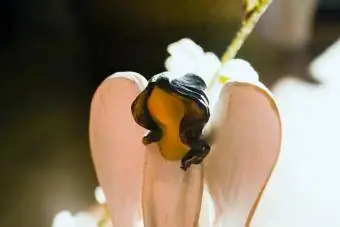 Figurine d'ange