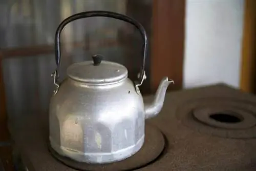 Vintage Mirro Çaydanlar: Tarix və Onları Necə Tapmaq olar