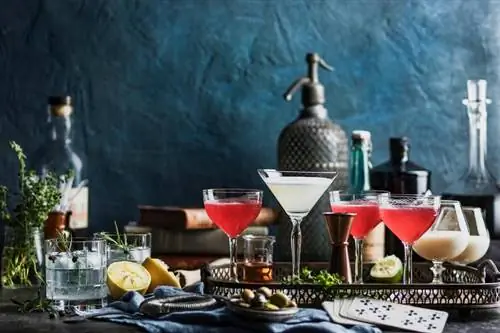 22 de rețete populare de cocktail-uri pe care toată lumea ar trebui să le cunoască