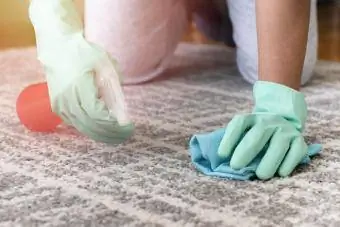شخصی که دستکش می پوشد لکه فرش را تمیز می کند