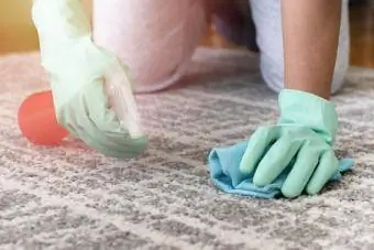 Persoon die handschoenen draagt en de vlek van het tapijt schoonmaakt