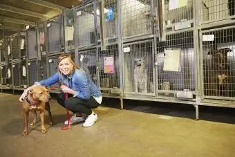 Moteris savanoriauja gyvūnų prieglaudoje