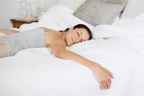 Πόσο κοστίζει ένα κρεβάτι με αριθμό ύπνου;