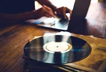 penyelidikan pengumpulan rekod vintaj pada komputer