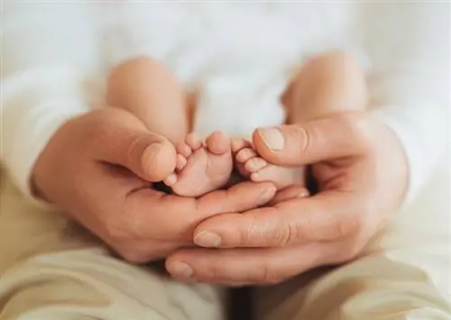 Δωρεάν & Τεστ πατρότητας DNA χαμηλού κόστους: Κατανοήστε τις επιλογές σας