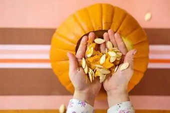 Een meisje dat zaden uit haar vers gesneden Halloween-pompoen ha alt