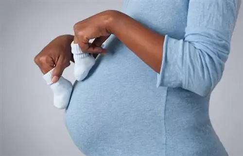 كيفية الحمل بصبي: 11 طريقة لتحسين احتمالات الحمل